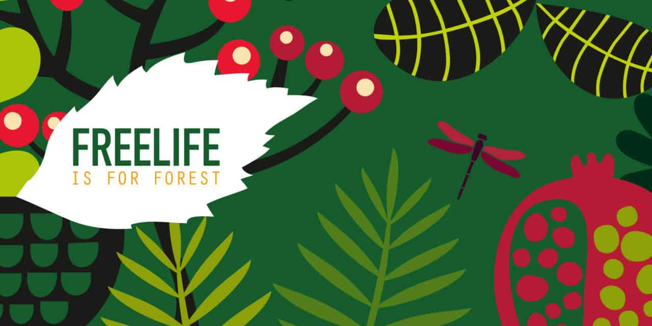 Die einzigartige FREELIFE-Papierkollektion