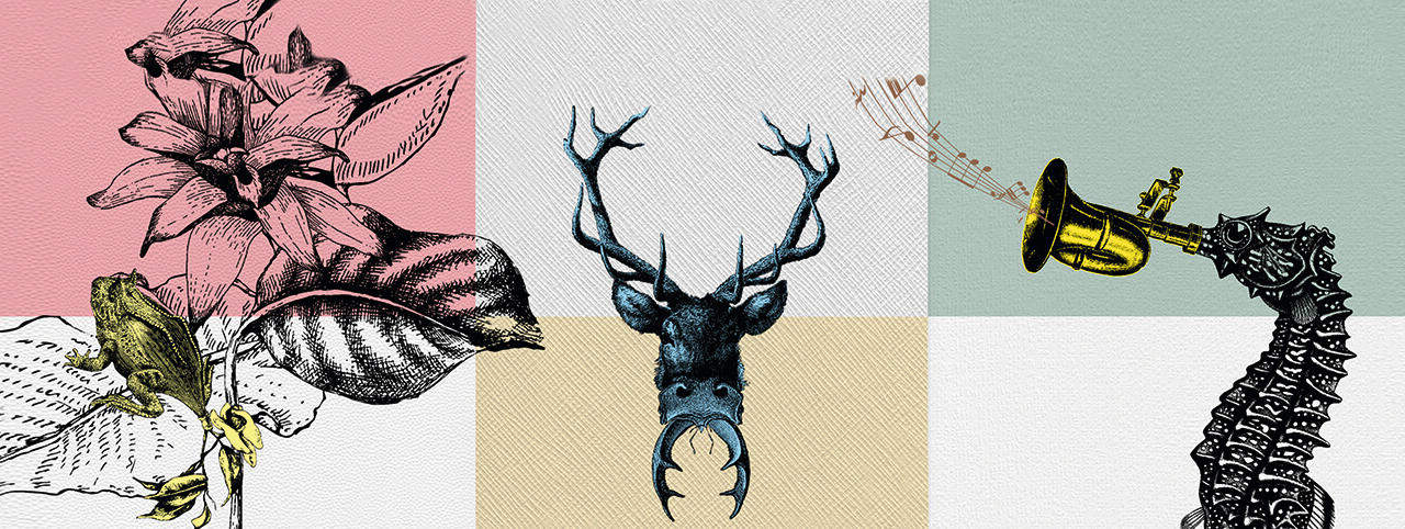 Die sagenhafte Welt von CONSTELLATION